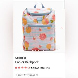 June Shine Insulated Cooler Backpack